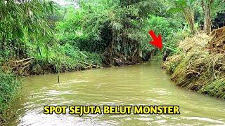 MANCING BELUT DI SPOT SUNGAI ANDALAN YANG DI HUNI SEJUTA BELUT MONSTER