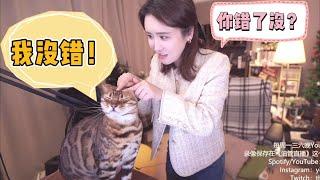 陈一发儿：轻松向：小猫咪吃播；小德再次犯错