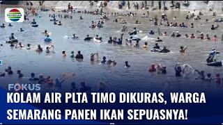 Ratusan Warga Tumpah Ruah Berebut Ikan di Kolam Air PLTA Timo Semarang | Fokus