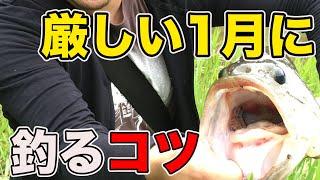 【バス釣り】1月のおかっぱり攻略!!冬でも釣れる確率を上げる考え方＆ルアーワームの釣り方HOW TO!!【2021年最新版】【野池・川】【シーズナブルパターン】