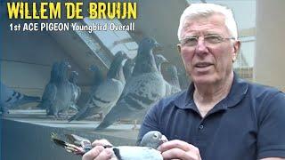 DUTCH GRAND MASTER and FLYING DENTIST - WILLEM DE BRUIJN1st ACE PIGEON OVERALL YB 2019