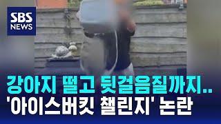 강아지 떨고 뒷걸음질까지…'아이스버킷 챌린지' 논란 / SBS / 오클릭