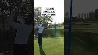 Tiger Woods' INCREDIBLE save! 