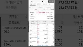 250618 내 미국주식 현황 #미국주식 #qld #soxl #sso #spy #etf #나스닥 #미국주식