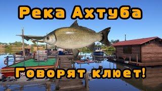 Говорят клюет! #1\Дикий фарм на буффало\Ахтуба\Розыгрыш\РР4\РУССКАЯ РЫБАЛКА 4