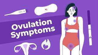 Symptoms of Ovulation | Doctor Explains