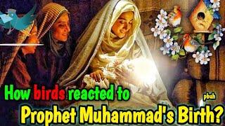 Prophet Muhammad SAW|Prophet Muhammad Birth|Animated Story|Shia|Rabi ul Awal|Imam Ali|KAZSchool