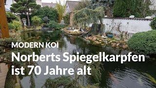 Mit Norbert an seinem 150.000 Liter Superjumboteich | Modern Koi Blog #6601