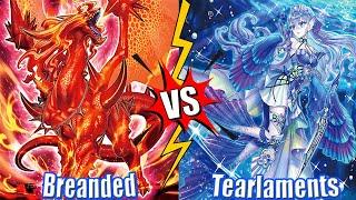 Branded Bystial Dragon vs Tearlaments - High Rated DB Yu-Gi-Oh! 2024