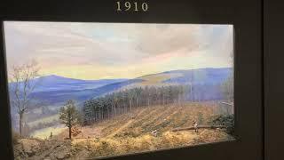 AMAZING DIORAMAS (Fisher Museum) #relaxing #museum #adventure #diorama #amazing #art #nature