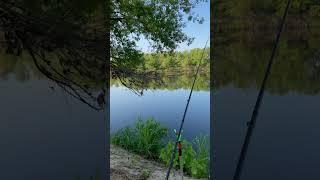 Начало рыбалки на реке Днепр )#рыбалка #фидер #днепр