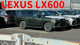 新型LX600 LEXUS LX2022 ＆ LANDCRUISER300 （ランクル300）