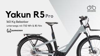 160 kg Belastbarm 750 Wh Das WINORA Yakun R5 PRO 2023 Ebike Wave