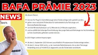 ENDLICH OFFIZIELL! ELEKTROAUTO FÖRDERUNG (BAFA PRÄMIE) 2023 + 2024 | EFIEBER