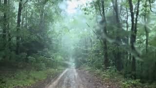 Seasonal road during thunderstorm in finger lakes