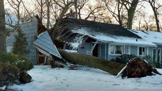 Dangerous Big Tree Felling With Chainsaw In Action, Heavy Tree Removal Fails Falling On Houses