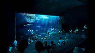 Neues Artenschutz-Aquarium im Tiergarten Schönbrunn präsentiert