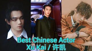 Xu Kai biography, lifestyle, career, film, drama, early life, personality, awards, chinese actor 许凯