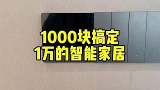 挑战1000块改造价值1万的智能家居！直接抄作业 #智能家居 #装修