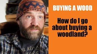 Buying a Wood: How do I go about buying a woodland?