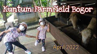 Bermain seru dengan aneka hewan di Kuntum Farmfield Bogor - April 2022