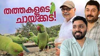 തത്തകളുടെ ചായക്കട!  The Bird Man Of Chennai - Parrot Sudarson