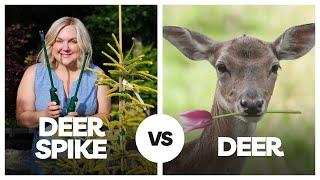 Keep Deer Away From Your Plants! Wireless Deer Fence. Deer Spike Post Repellent Deer Training System