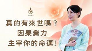 EP68【真的有來世嗎？因果業力主宰你的命運！】真實故事分享 ｜#玄妙天宮