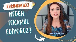 NEDEN TEKAMÜL Ediyoruz? Tekamül Gerekli mi? - Evrim Balıkçı