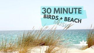 30 Minutes of Ambient Music for Sleep or Concentration with Birds, Beach and Relaxing Music