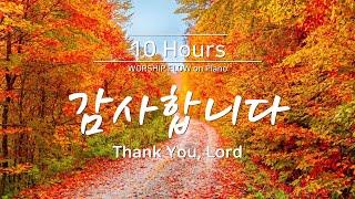 Thank You, Lord - Piano Instrumentals w. Lyrics(No Mid Roll Ads)/오늘도 감사합니다/감사 찬양 모음/CCM 피아노 연주(가사)