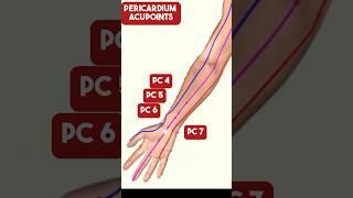 The Pericardium Meridian Acupuncture Points #acupuncture