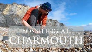 Fossiling at Charmouth Beach In Dorset | Jurassic Coast, UK