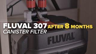 8 Months Update & Maintenance Fluval 07 Series Canister Filter | Fluval 107 207 307 407