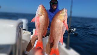 ACTION PACKED Mutton Snapper Fishing...WE LIMITED OUT