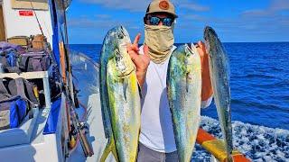 Tribute Sportfishing for Dorado 2020 - Catch n Cook