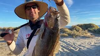 BAJA SHORE FISHING- CEVICHE TIME!