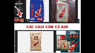 Cá Koi Nhật nên ăn loại CÁM GÌ TỐT NHẤT? Tư vấn cám cá koi - ĐẠI KOI NHẬT