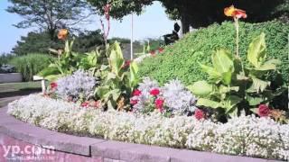 Great Lakes Landscaping | Commercial | Cleveland Ohio