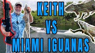 Hunting Iguanas In Miami!