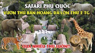 Khám Phá Vườn Thú Bán Hoang Dã Lớn Thứ 2 Thế Giới - Safari Phú Quốc [[Review Chi Tiết]]