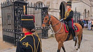 KING'S TROOP DAY ONE and the smallest horse we've yet seen on duty at Horse Guards!