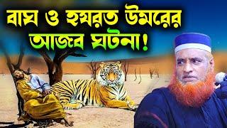 কি ঘটেছিল সেদিন বাঘ ও হযরত ওমর (রা:) আনহুর সাথে #বজলুর রশিদ ! Bozlur Roshid 2023 ! Bizlur Roshid Waz