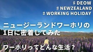 ニュージーランドワーホリの1日に密着してみた! vor1