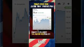 테슬라 5%, 리비안 25% 전기차 급등랠리..."4개월래 최고"