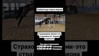 https://t.me/mukhinsurance #страхование #конныйспорт #спорт #страхованиежизни