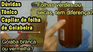 Respondendo dúvidas:Tônico de folha de Goiabeira funciona? Folhas verdes ou secas?