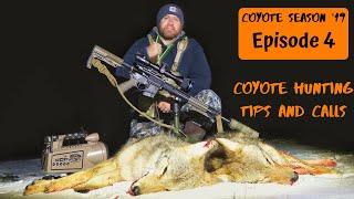 Coyote Hunting Tips and Call Sequences | Using Pulsar Thermion