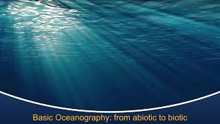 Marine Biology at Home 3: Basic Oceanography