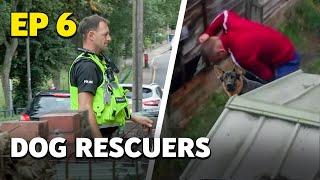 Dog Rescuers: Caught on Camera and Served Justice | Full Documentary